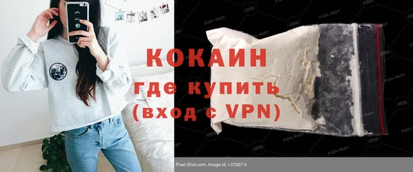 молекула духа Пестово