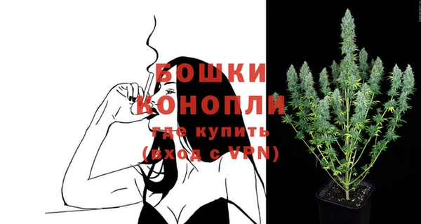 молекула духа Пестово