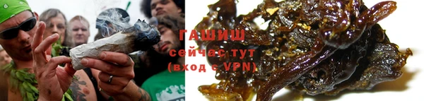 молекула духа Пестово