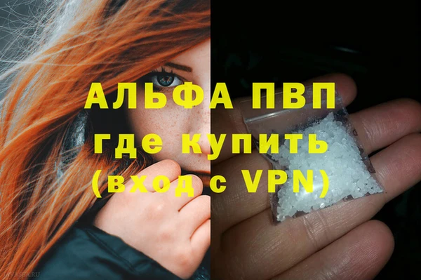 молекула духа Пестово