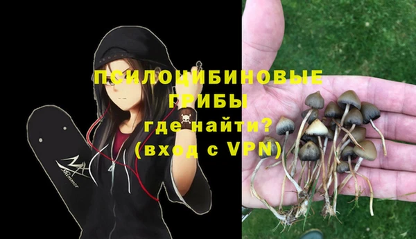 экстази Покачи