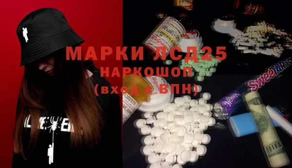 молекула духа Пестово