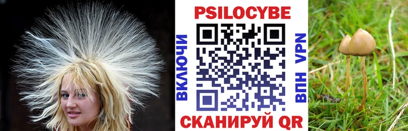 Псилоцибиновые грибы GOLDEN TEACHER даркнет сайт Лесозаводск