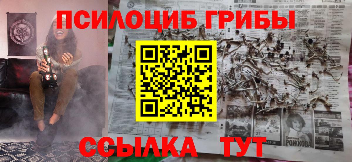 Псилоцибиновые грибы Psilocybine cubensis Лесозаводск