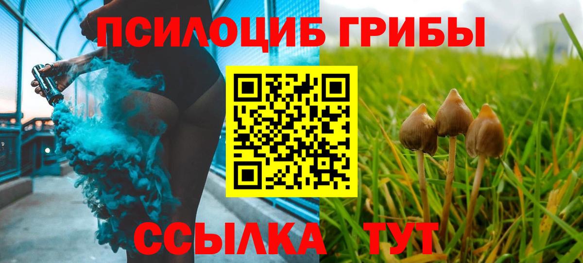 Галлюциногенные грибы Magic Shrooms Лесозаводск