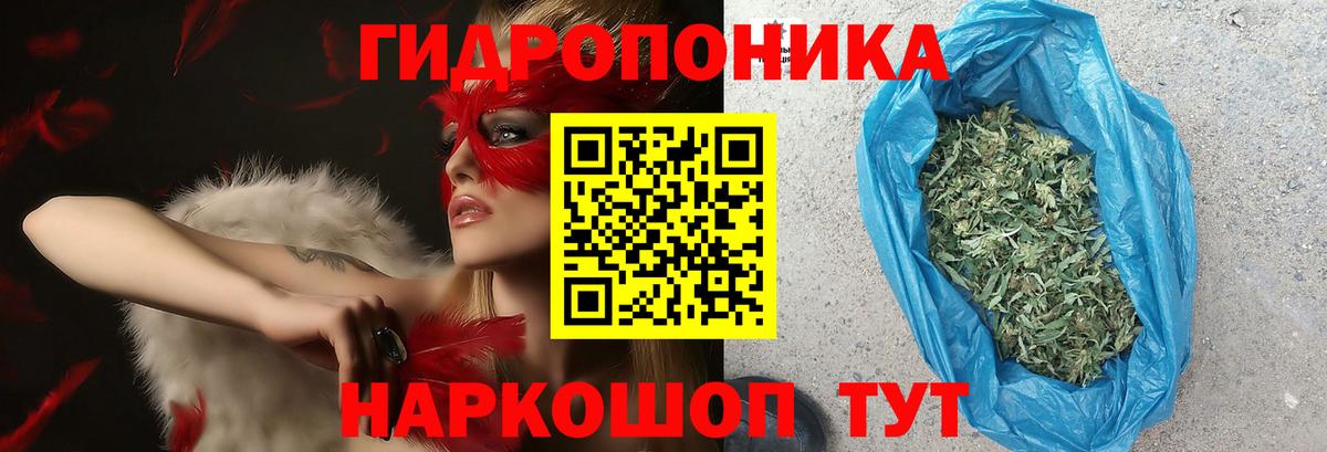 Шишки марихуана Bruce Banner  Бошки Шишки индика  Конопля конопля  Бошки марихуана план  Лесозаводск 